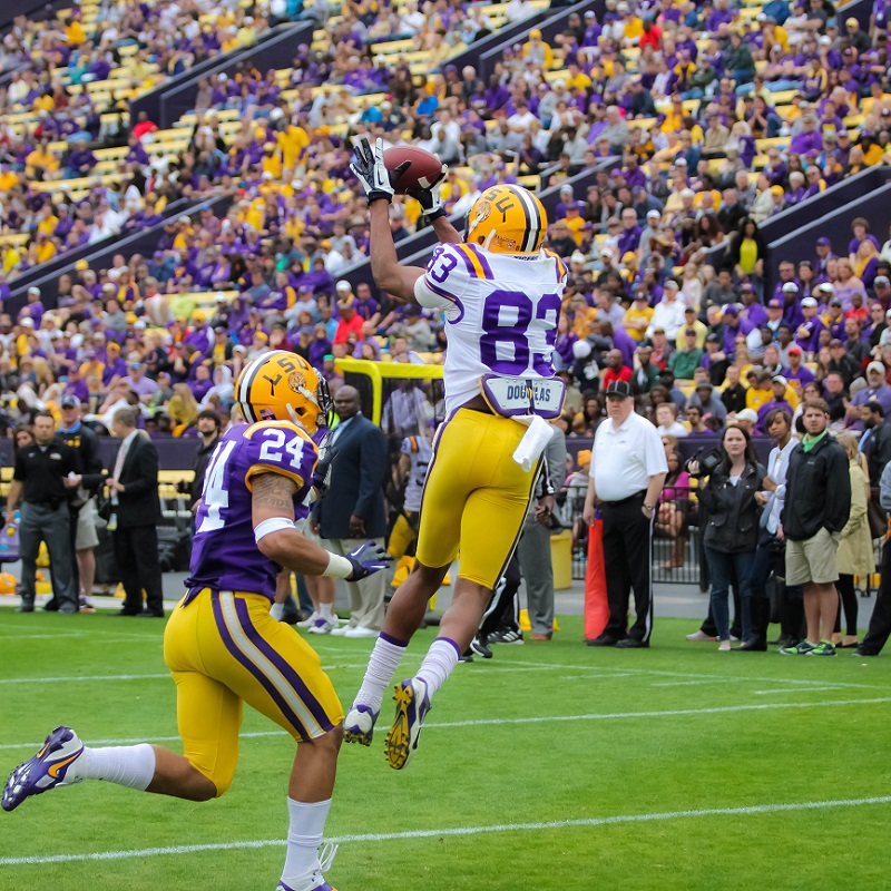 LSU football game