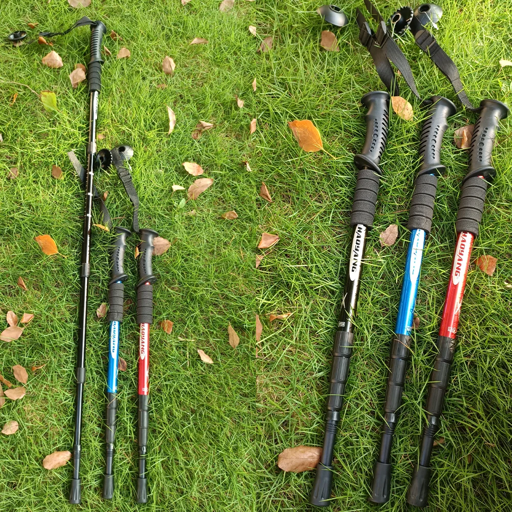 trekking pole tips